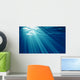 Underwater Wall Mural