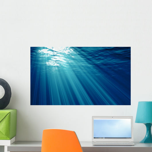 Underwater Wall Mural