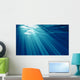Underwater Wall Mural