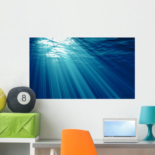 Underwater Wall Mural