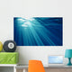 Underwater Wall Mural