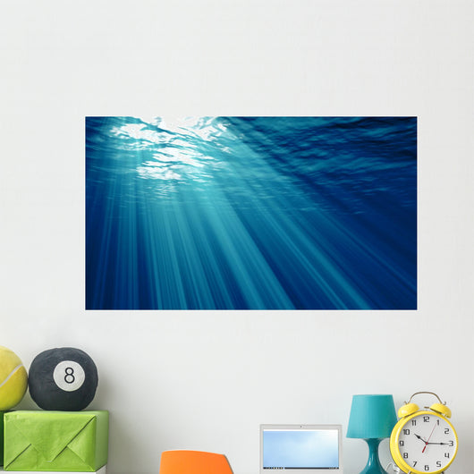 Underwater Wall Mural