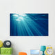 Underwater Wall Mural