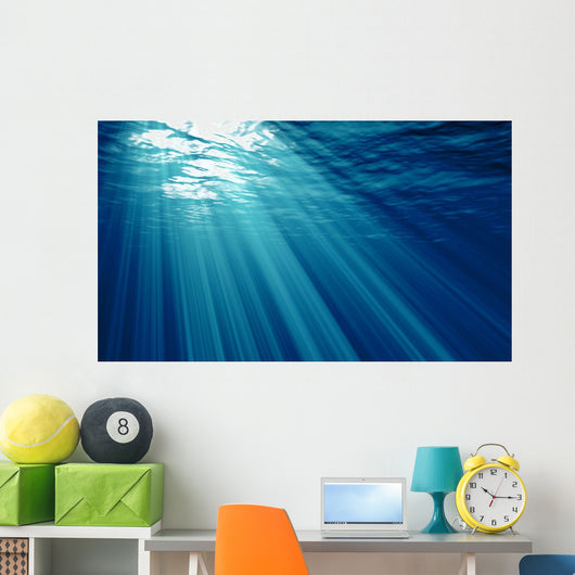 Underwater Wall Mural