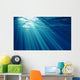 Underwater Wall Mural