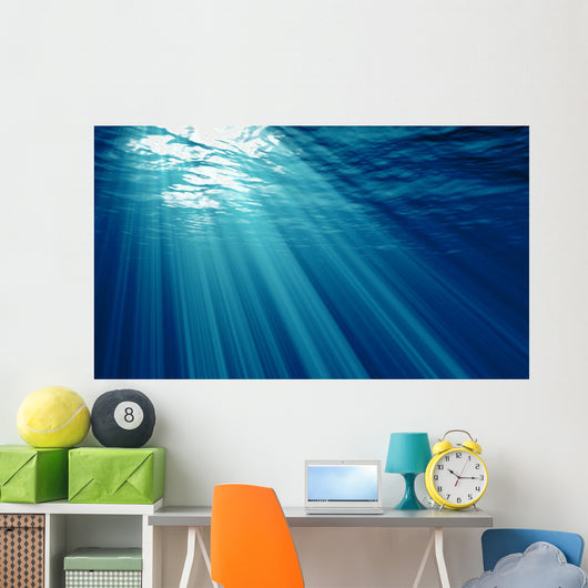 Underwater Wall Mural