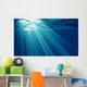 Underwater Wall Mural