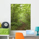 Spring Trail Wall Decal
