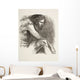 Timon Wall Mural