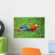 Parrot Scarlet Macaw Ara Macao Wall Mural