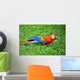 Parrot Scarlet Macaw Ara Macao Wall Mural