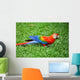 Parrot Scarlet Macaw Ara Macao Wall Mural