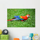Parrot Scarlet Macaw Ara Macao Wall Mural