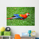 Parrot Scarlet Macaw Ara Macao Wall Mural