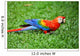 Parrot Scarlet Macaw Ara Macao Wall Mural