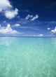 Waters Off The West Coast Of Barbados,Beach Water Ocean Horizon Wall Mural