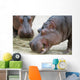 Hippopotamus