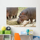 Hippopotamus