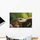 The Head Of An Eagle Wall Mural
