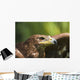 The Head Of An Eagle Wall Mural