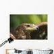 The Head Of An Eagle Wall Mural