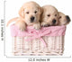 Lab Puppies Wall Decal