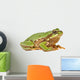 Treefrog White