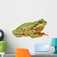 Treefrog White