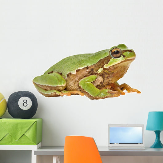 Treefrog White