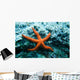 Red Starfish Rocks Wall Mural