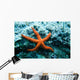 Red Starfish Rocks Wall Mural