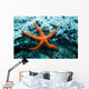 Red Starfish Rocks Wall Mural