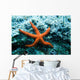 Red Starfish Rocks Wall Mural