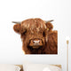 Highland Cattle Wall Decal
