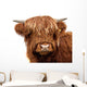 Highland Cattle Wall Decal