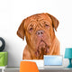 Dogue De Bordeaux Portrait Wall Decal