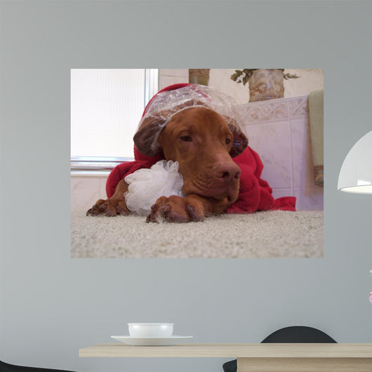 Bark Bath and beyond Wall Decal