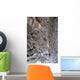 Samaria Defile Wall Decal