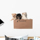 Adorable Pomeranian Puppies in a Cardboard Box Wall Decal