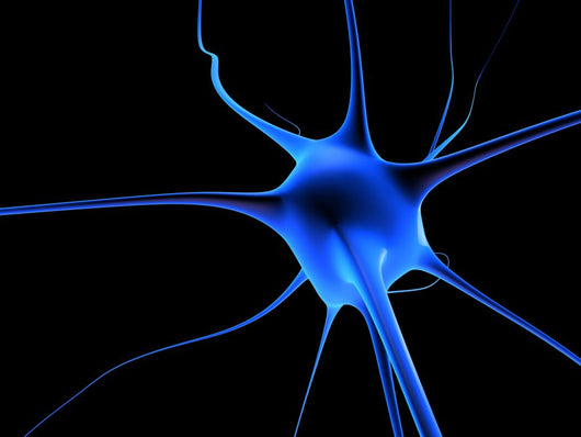 Neuronenzelle Wall Mural