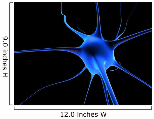 Neuronenzelle Wall Mural