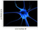 Neuronenzelle Wall Mural
