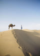 Lonely Traveler with Camel through Desert Wall Mural