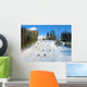 Ski Track Carpathian Mountains Wall Decal