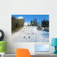 Ski Track Carpathian Mountains Wall Decal