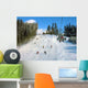 Ski Track Carpathian Mountains Wall Decal