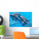 Happy Dolphins Wall Mural