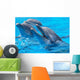 Happy Dolphins Wall Mural
