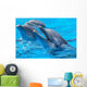 Happy Dolphins Wall Mural