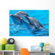Happy Dolphins Wall Mural